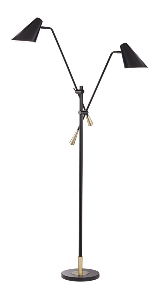 2 Arm Adjustable Floor Lamp