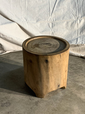 Wood Stump
