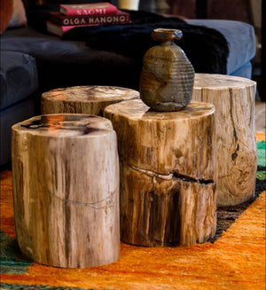 Petrified Wood Stump- Size Variants