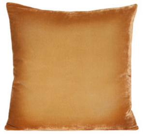 Golden Beige Velvet Pillow