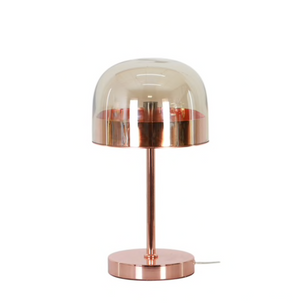 Metal/ Glass Dome Table Lamp