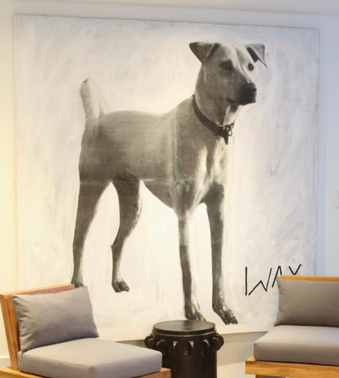 Wax Dog Art