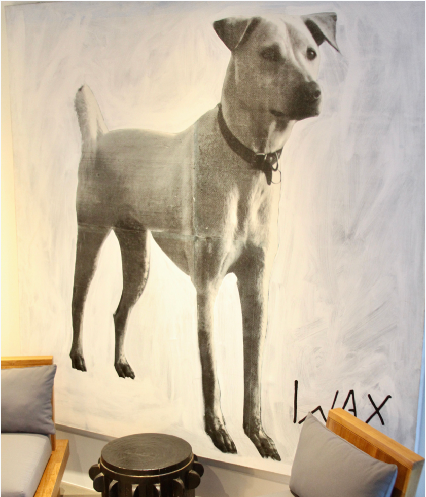 Wax Dog Art